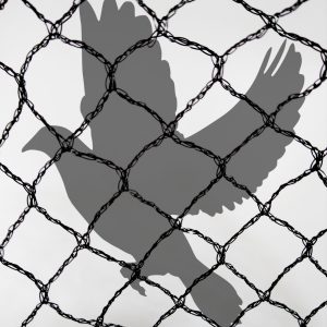 Bird Netting - 4.5 m x 5 m