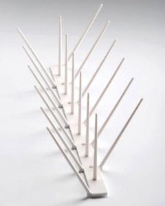 Bird Spike White