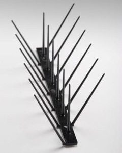 Bird Spike Black